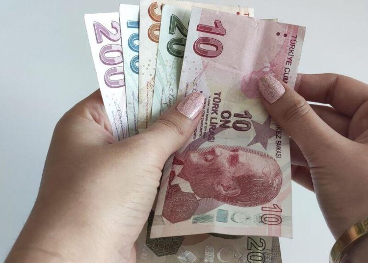 Lira turca. | Fuente externa.