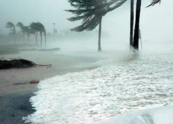 La ONE atribuye este aumento en las precipitaciones a una combinación de factores naturales y actividades humanas, lo que ha provocado inundaciones catastróficas, pérdidas de vidas humanas y daños materiales y económicos.