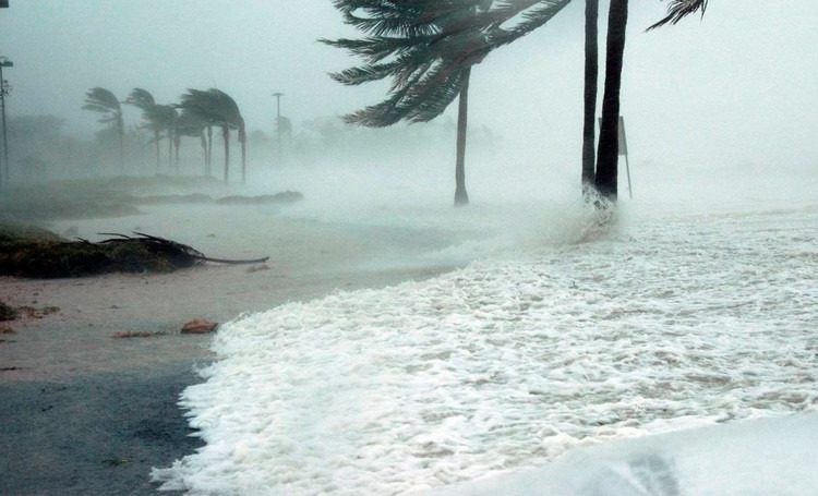 La ONE atribuye este aumento en las precipitaciones a una combinación de factores naturales y actividades humanas, lo que ha provocado inundaciones catastróficas, pérdidas de vidas humanas y daños materiales y económicos.