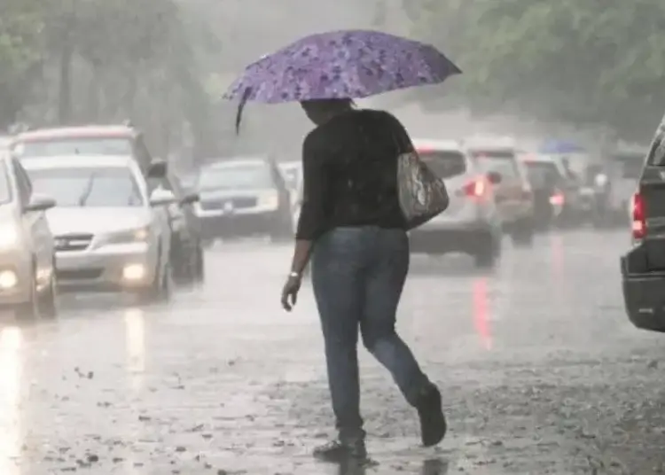 Se espera que la actividad de nublados y lluvias disminuya gradualmente en la noche.