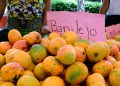 Expo Mango se realizará del 3 al 7 de junio de 2026 en una nueva ubicación en Baní.
