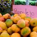 Expo Mango se realizará del 3 al 7 de junio de 2026 en una nueva ubicación en Baní.