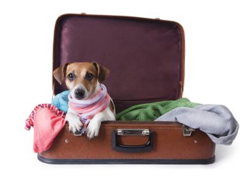 Las autoridades explicaron que América ha sido líder en la adopción de la certificación electrónica fitosanitaria. - Fuente externa.