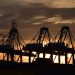 Las industrias nacionales representaron el 67% de los envíos internacionales de octubre. - Fuente externa.