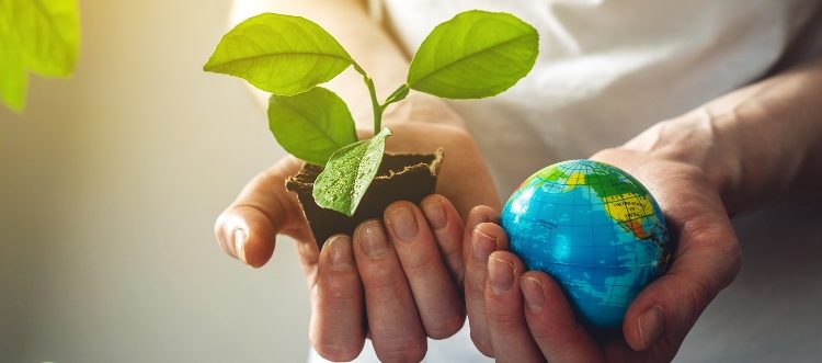 Ecuador es uno de los países a nivel regional que más ha trabajado en la reducción de gases de efecto invernadero y en la producción libre de deforestación.