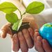 Ecuador es uno de los países a nivel regional que más ha trabajado en la reducción de gases de efecto invernadero y en la producción libre de deforestación.