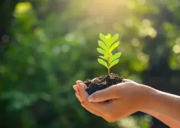 La ONU reconoce avances en materia medioambiental como la eliminación de casi todas las sustancias que agotan la capa de ozono.