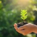 La ONU reconoce avances en materia medioambiental como la eliminación de casi todas las sustancias que agotan la capa de ozono.