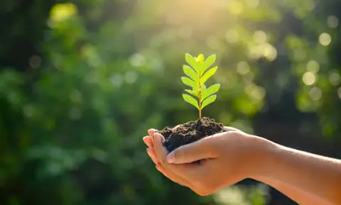 La ONU reconoce avances en materia medioambiental como la eliminación de casi todas las sustancias que agotan la capa de ozono.