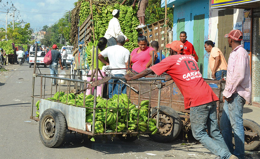 Algunos procedieron a halar ellos mismos sus carretas. | Lésther Álvarez
