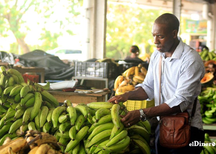 Los productores de alimentos no tienen las habilidades y recursos para la comercialización.