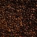 La variedad de café arábigo fue la más exportada (79%) durante este periodo. - Fuente externa.