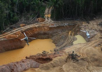 Las áreas explotadas ilícitamente en los asentamientos indígenas el año pasado fueron un 265%. | Fuente externa.