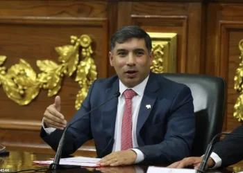 El ministro del Poder Popular para el Petróleo, Pedro Tellechea, ha reiterado que Venezuela seguirá avanzando por el crecimiento económico para el bienestar del pueblo venezolano.