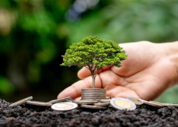 El cambio climático es una realidad que pone en riesgo la vida en el planeta Tierra. | Canva