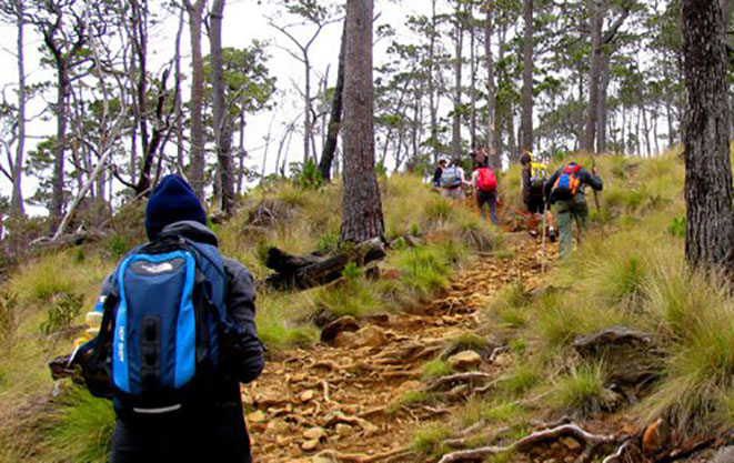 El montañismo se practica en equipo para mayor seguridad, requiere de un sistema cardiovascular sano y piernas firmes.