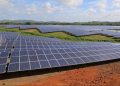Los proyectos de generación eléctrica solar que operan en territorio dominicano estarían sufriendo pérdidas económicas millonarias.