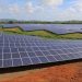 Los proyectos de generación eléctrica solar que operan en territorio dominicano estarían sufriendo pérdidas económicas millonarias.