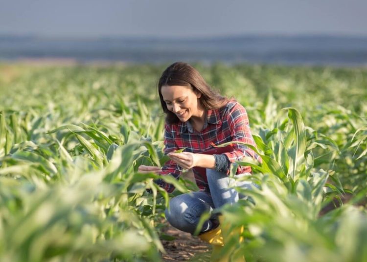En los últimos 10 años, la cantidad de mujeres ocupadas en agricultura y ganadería ha oscilado entre 18,000 y 31,000 trabajadoras.