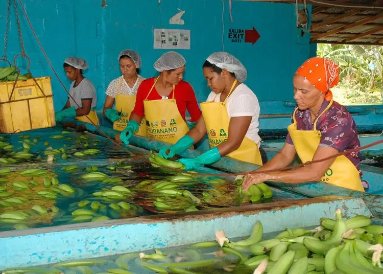 las mujeres del sector agropecuario exigen mayor acceso a financiamientos y reconocimiento de parte de las autoridades.