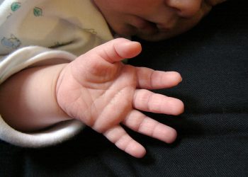 En 2023, de los 156,024 nacimientos registrados, el 51% era de género masculino, según los datos publicados por la ONE. | Fuente externa