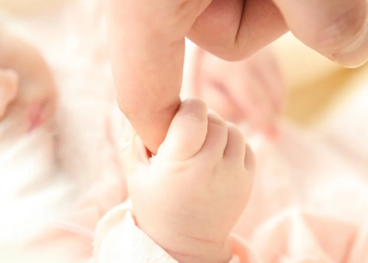 La edad media de maternidad de las mujeres se mantuvo estable frente a 2022. - Fuente externa.