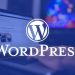 La página web de ACF ahora indica que este complemento "ha sido tomado por la fuerza por WordPress.org" sin su consentimiento. - Fuente Externa.