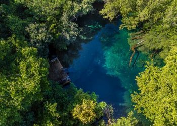 RD supera a más de 20 países en la región, las cuales no han alcanzado el 10% establecido para 2020.