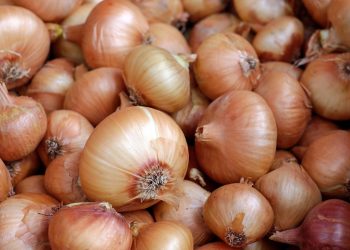 Cebolla