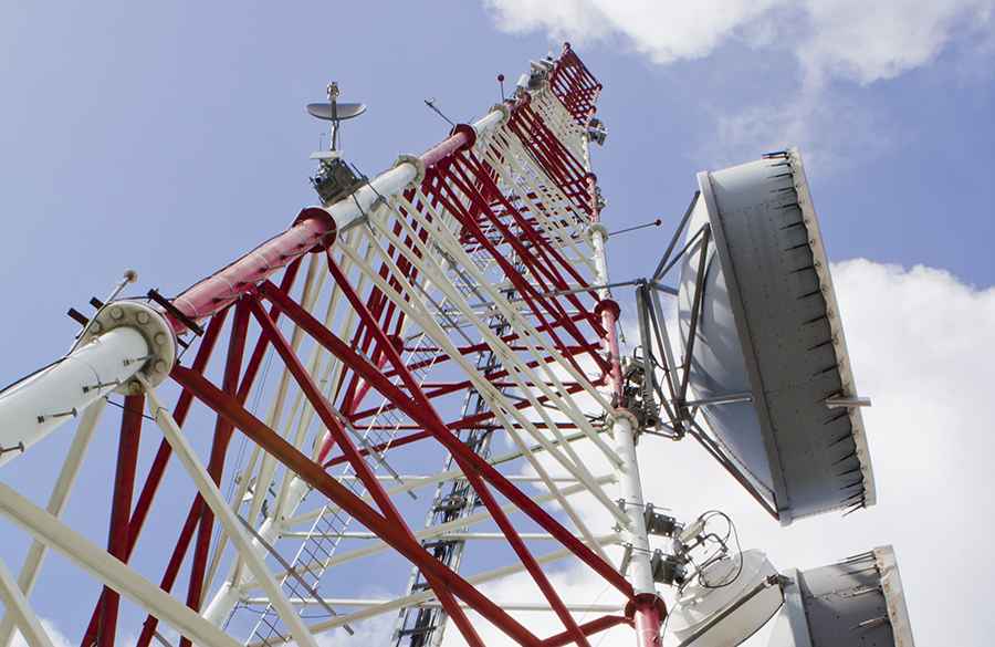 organizaciones exponenciales