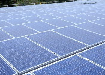 En términos de tecnologías, se prevé que la energía solar fotovoltaica por sí sola represente un 80% del crecimiento de la capacidad renovable mundial. - Fuente Externa.