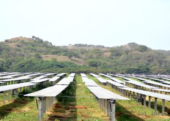 Se instalaron un total de 268,200 paneles en el parque solar Girasol, con capacidad para abastecer  el equivalente a 100,000 hogares. | Lésther Álvarez