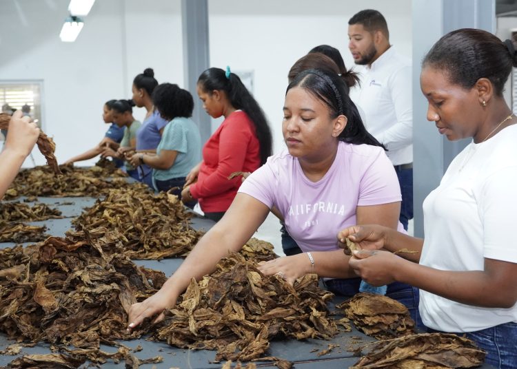 Los informes de Proindustria señalan que en los últimos doce meses se han incorporado nuevas industrias en sectores como textil, calzado, tabaco, agroindustria, alimentos y manufactura ligera.