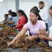 Los informes de Proindustria señalan que en los últimos doce meses se han incorporado nuevas industrias en sectores como textil, calzado, tabaco, agroindustria, alimentos y manufactura ligera.