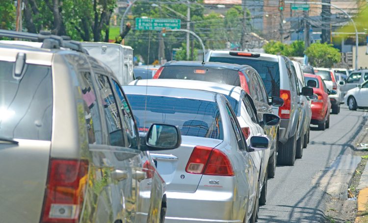 El documento detalla que el 72.6% del parque vehicular pertenece a personas físicas, mientras que el 27.4% corresponde a personas jurídicas.