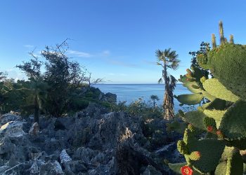 Con 2,074.53 kilómetros cuadrados, Pedernales ocupa el séptimo lugar en superficie del territorio dominicano.