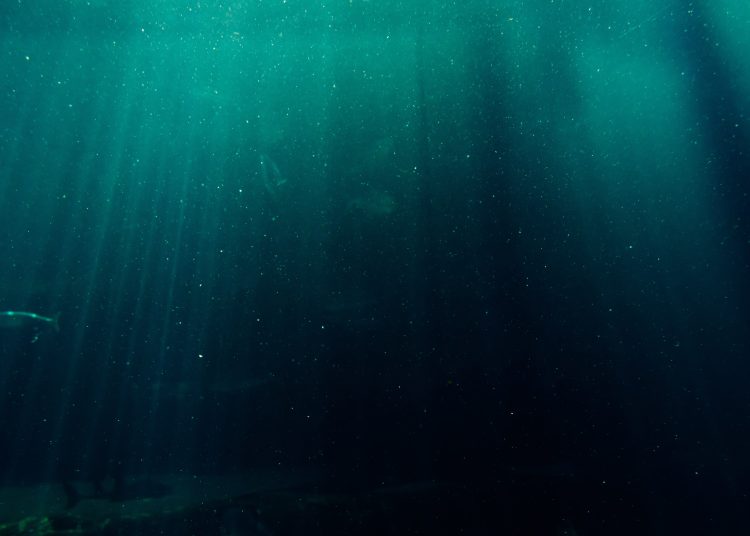 A los datos sobre el aumento de la temperatura se suman otras variables que también influyen en las condiciones del océano, ya que el efecto sobre la biodiversidad de estas profundidades es determinante y tendrá consecuencias en las especies. - Fuente externa.