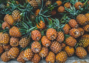 Los datos de Agricultura indican que la producción promedio de este rubro agrícola se fijó en 9.5 millones de toneladas durante el período 2012-2022. - Fuente externa.