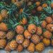Los datos de Agricultura indican que la producción promedio de este rubro agrícola se fijó en 9.5 millones de toneladas durante el período 2012-2022. - Fuente externa.