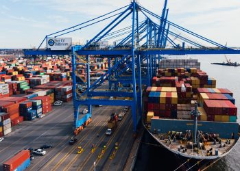 La reanudación de las importaciones de langosta australiana podría ocurrir pronto, posiblemente para finales de este año. - Fuente externa.