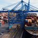 La reanudación de las importaciones de langosta australiana podría ocurrir pronto, posiblemente para finales de este año. - Fuente externa.
