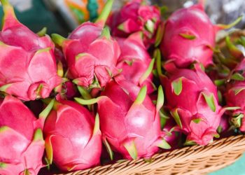 El productor de este fruto, Silverio Rafael Chávez, destaca que la creación de un clúster y una cooperativa les ha facilitado las exportaciones hacia mercados internacionales.