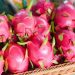 El productor de este fruto, Silverio Rafael Chávez, destaca que la creación de un clúster y una cooperativa les ha facilitado las exportaciones hacia mercados internacionales.