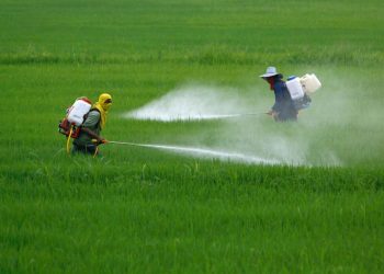 Los expertos proponen "desarrollar, adaptar y adoptar buenas prácticas de manejo de plaguicidas en el campo". Fuente externa.