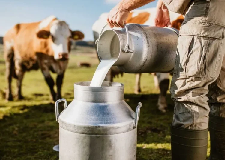 El año pasado se inseminaron más de 15,000 vacas. - Fuente externa.