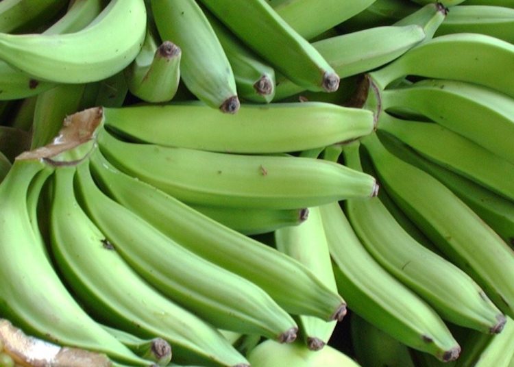 Productores contarán con una vía más efectiva para exteriorizar sus preocupaciones sobre el sector. Fuente externa.