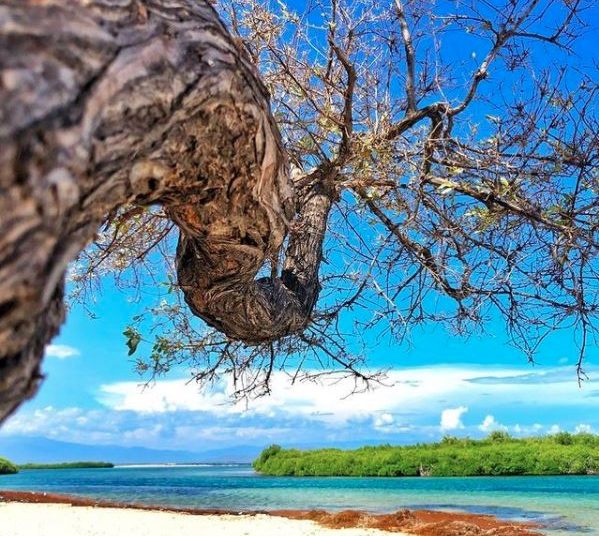 Las Caobitas, una playa virgen de arena blanca que está rodeada de  manglares y cayos.  / Foto:  
Wabi Sabi Pics