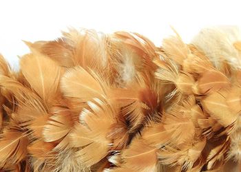 El equipo de investigación ya ha presentado una patente conjunta para la membrana. | Fuente externa.