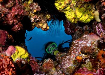 Por kilómetro cuadrado, República Dominicana genera más de US$5.7 millones al año gracias a los arrecifes de corales, según estudio de 'The Nature Conservancy' | Presidencia de República Dominicana.