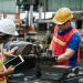 Las principales disminuciones se observaron en la fabricación de equipo eléctrico, que experimentó una caída del -1.16%; la fabricación de sustancias y productos químicos, con -0.74%; y la producción textil, que disminuyó un -0.19%.
